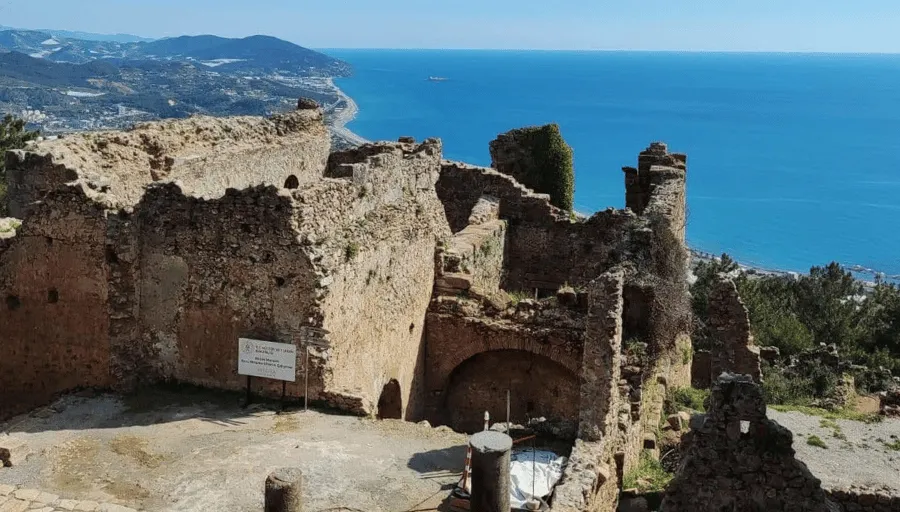 Nature Safari photo 13